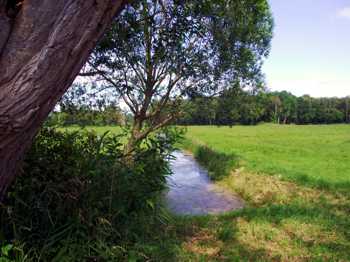 Ferienhaus Meeresbrise Bad