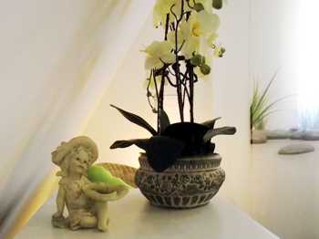 Ferienhaus Meeresbrise Bad